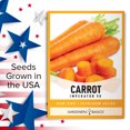 thumbnail image 5 of Imperator 58 Carrot Seeds, 5 of 7