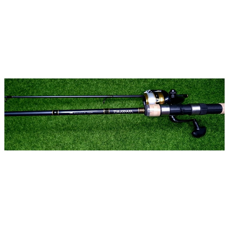 Daiwa D-Shock 6' 6