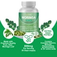 thumbnail image 6 of Moringa Capsules, Moringa Oleifera Leaf Powder Supplement, Natural Energy & Immune Support, Antioxidant Superfood, 7 Pack, 6 of 9