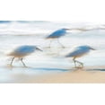 thumbnail image 2 of Manlove, David 24x16 White Modern Wood Framed Museum Art Print Titled - Pipers on a beach A, 2 of 4