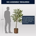 thumbnail image 6 of American Art Decor Artificial Variegated Rubber Tree in Water Hyacinth Woven Basket - 60", 6 of 6