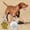 Gold#573, variant on RuiJiao Personalized Pet Tag Dog Tag Tag Alloy Metal Glitter Dog Tag Blank Dog Tag Pendant Engraved Pet Accessory