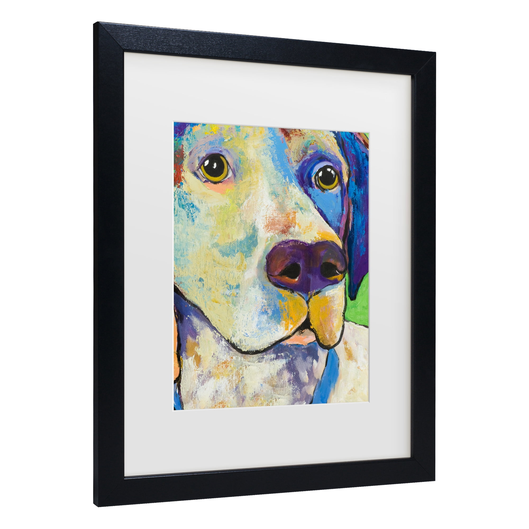 Trademark Fine Art 'Yancy' Canvas Art by Pat Saunders-White