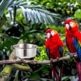thumbnail image 1 of unbranded De Comida Y Para Loros De Inoxidable Para Uso En Jaulas, 1 of 8