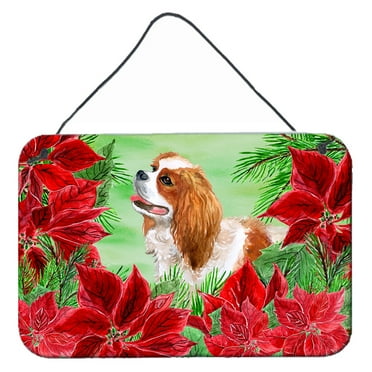 Carolines Treasures CK1311DS812 Cavalier Spaniel Poinsettas Wall or Door Hanging Prints  8x12 multicolor
