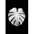 thumbnail image 2 of Artographie Studio 17x24 Black Ornate Wood Framed with Double Matting Museum Art Print Titled - Monstera White 04, 2 of 4