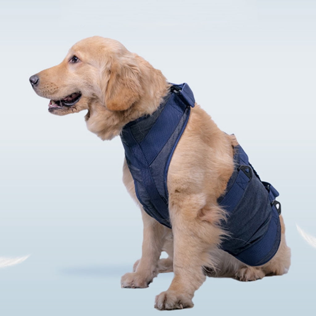 Lifting Dog Harness for Small Medium Large Dogs No Pull Assist Harness Adjustable Assist Training Supplies