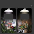 thumbnail image 4 of Indoor LED Plant Growing Lamps Full Spectrum Greenhouse Vegetable Succulent IP65 Waterproof, 4 of 5