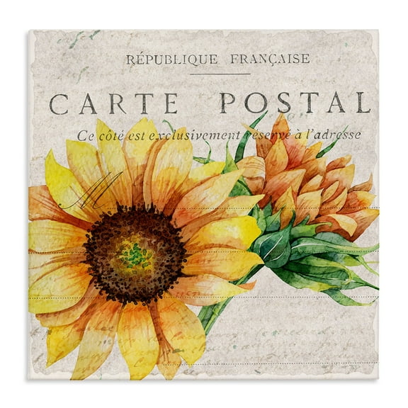 Vintage French Sunflower Postcard Floral Illustration Botanical & Floral Gallery-Wrapped Canvas Print Wall Art, 17x17