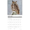 thumbnail image 3 of Owls 2026 12 X 12 Wall Calendar, (Hardcover), 3 of 5