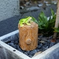 thumbnail image 5 of Hide a Key Outside Frog Stump Figurine Decorative Key Hiders Outdoor House Spare Keys Lockbox Containers Secret Compartment Safe Storage Box for Yard Garden Geocaching Indoor, 5 of 8
