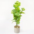thumbnail image 2 of Bearachild Planta simulada verde de bajo mantenimiento 4x para decoración interior y exterior Planta falsa interior o exterior Decoración, 2 of 6