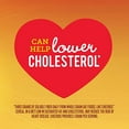thumbnail image 2 of Honey Nut Cheerios Heart Healthy Cereal, Gluten Free Cereal With Whole Grain Oats, 10.8 oz, 2 of 3