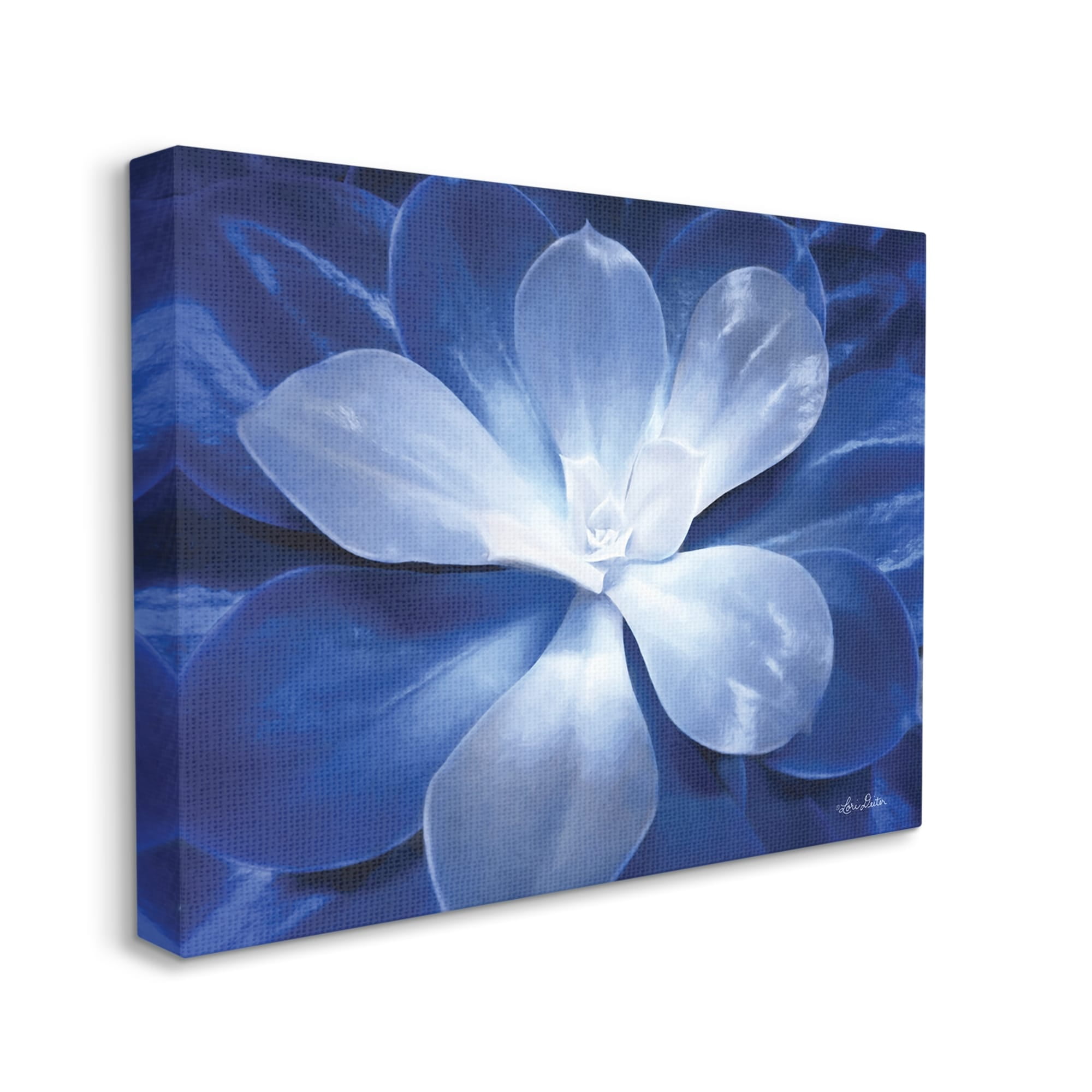 Stupell Industries Monochromatic Blue Succulent Plant Detailed Botanical Petals,30 x 24, Design by Lori Deiter