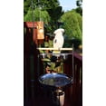 thumbnail image 5 of Coziwow Bird Stand Parrot Perch Large Play Stand with Toy Hook Rolling Wheel Stainless Steel Tray Bowls, 5 of 8
