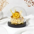 thumbnail image 6 of Glass Display Cloche Dome 4.9x4.5 Inch Glass Display Showcase with Base Decorative Display Dome Snowglobe for Fairy Lights Plants Flower Display Beach Sand Halloween Xmas Decoration DIY, 6 of 6