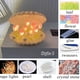 thumbnail image 4 of Yuarrent Crea tu propia concha de tulipanes, luz nocturna, disfruta del proceso creativo, proyecto creativo de bricolaje, disfruta del proceso Iluminación y accesorios blanco Material cerámico, 4 of 6