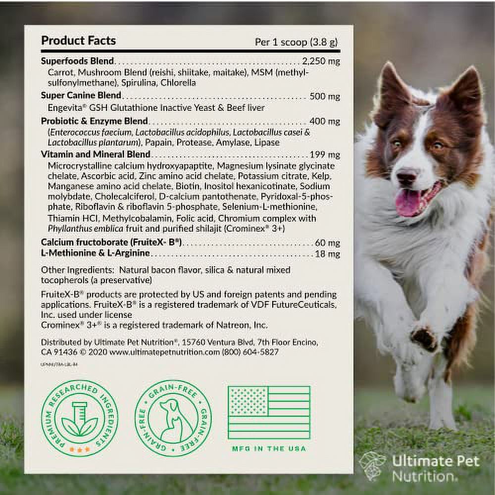 Boost Your Dog s Health with Nutra Thrive Canine 40 in 1 Nutritional Supplement Powder for Digestion Immune Support Vitamins Minerals Probiotics Enzymes 30 Servings Walmart