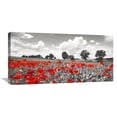 thumbnail image 1 of Global Gallery Frank Krahmer 'Poppies and vicias in meadow, Mecklenburg Lake District, Germany' Canvas Wall Art, 1 of 4
