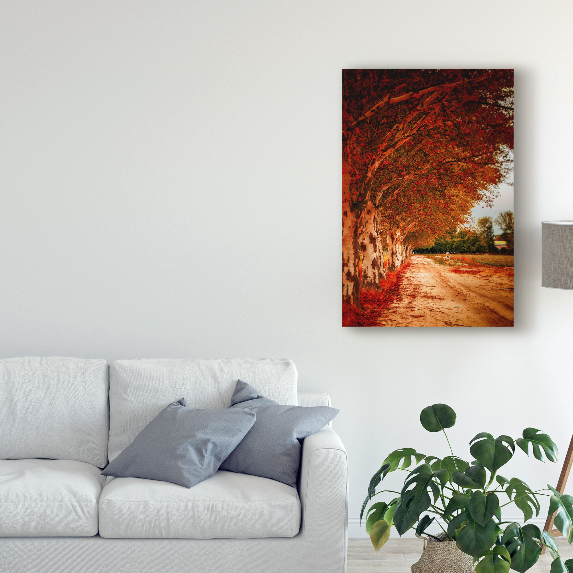 Trademark Fine Art 'Autumn Paths' Canvas Art by Pixie Pics
