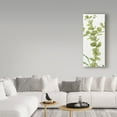thumbnail image 3 of Trademark Fine Art 'Mixed Greens LX' Canvas Art by Lisa Audit, 3 of 3