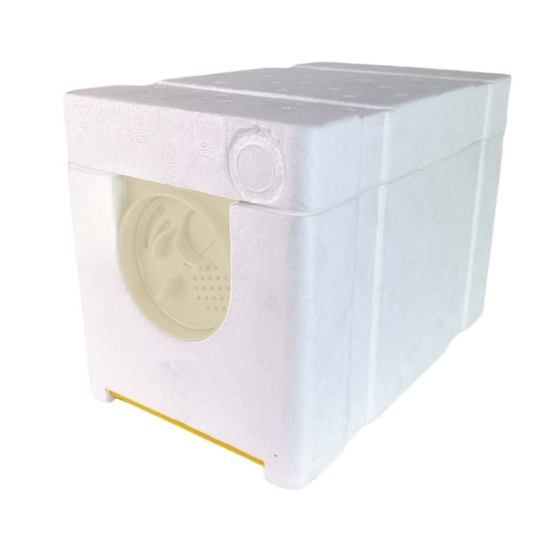 Caja de cría de abejas reinas Incubadora de abejas rey Suministros para apicultores Núcleos de cría de reinas Puerta Blanca