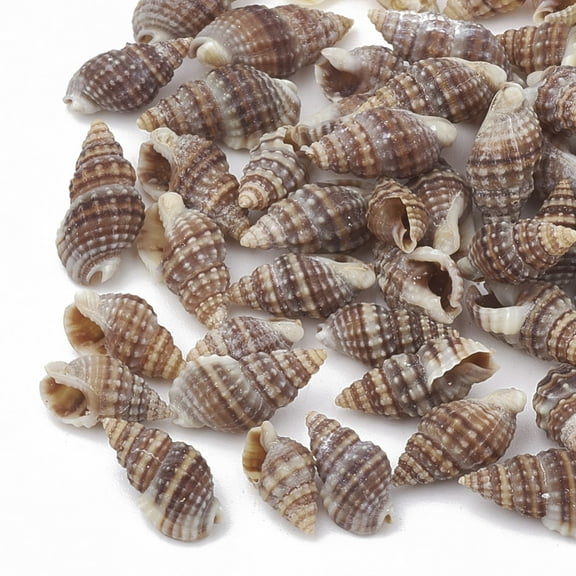 Sea Shell Beads Undrilled/No Hole Beads Rosy Brown 9~14x6~8x4~6mm 227pcs/50g
