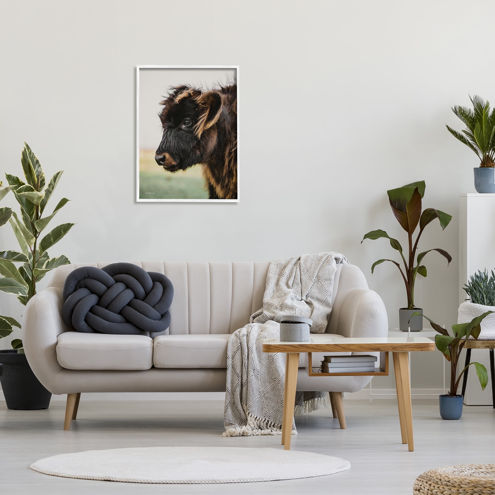 Stupell Industries Baby Cow Photography Animals & Insects Photography White Framed Art Print Wall Art, 24 x 30