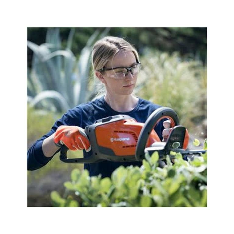 Husqvarna 115ipt4 2024 battery pole saw