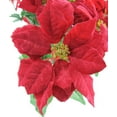 thumbnail image 2 of 24 Stems Faux Velvet Poinsettia Christmas Bush, 2 of 2