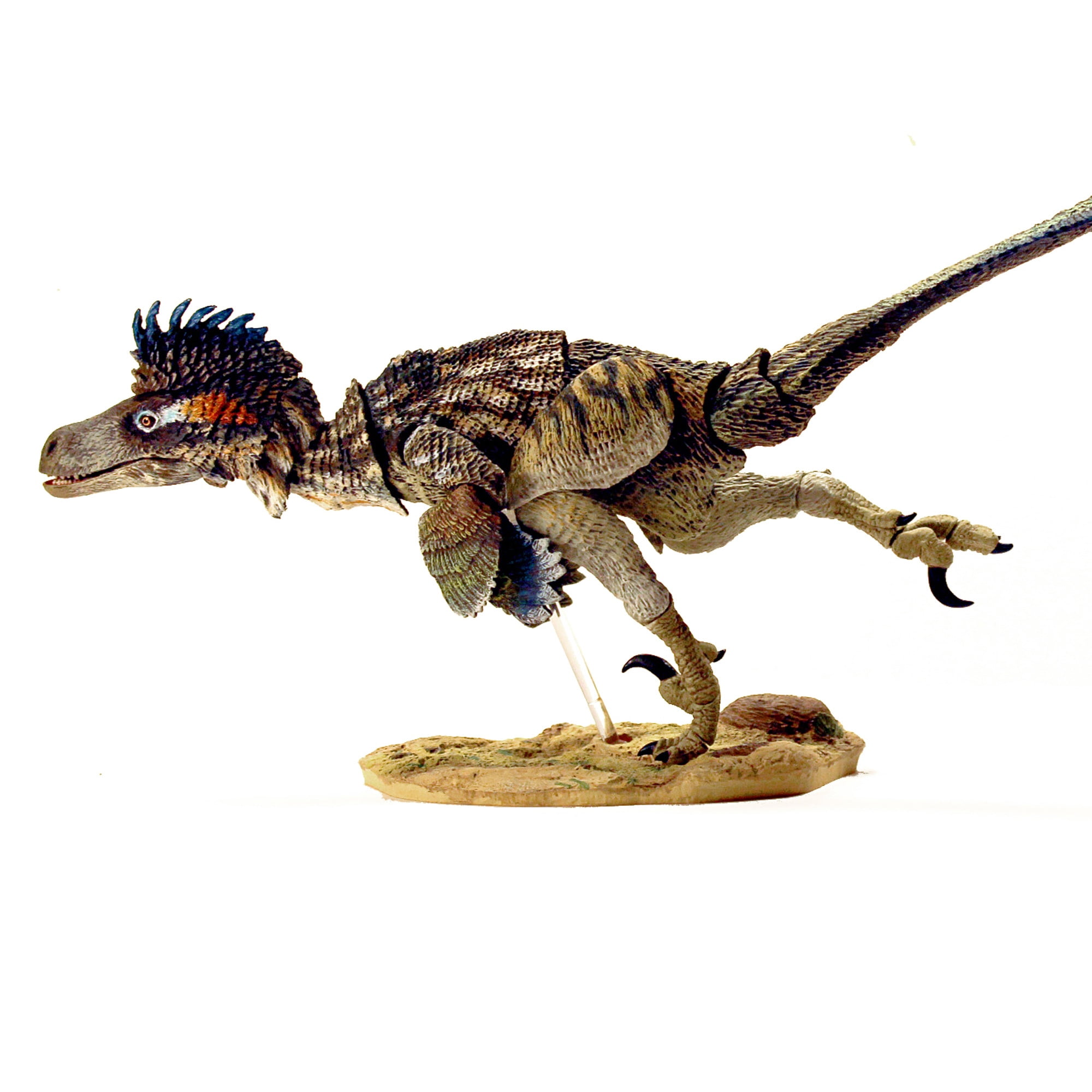 Beasts Of The Mesozoic: Saurornitholestes Langstoni Fan's Choice 2nd Release -1/6th Scale Dinosaur Action Figure- Articulated Collectible Hand-Painted