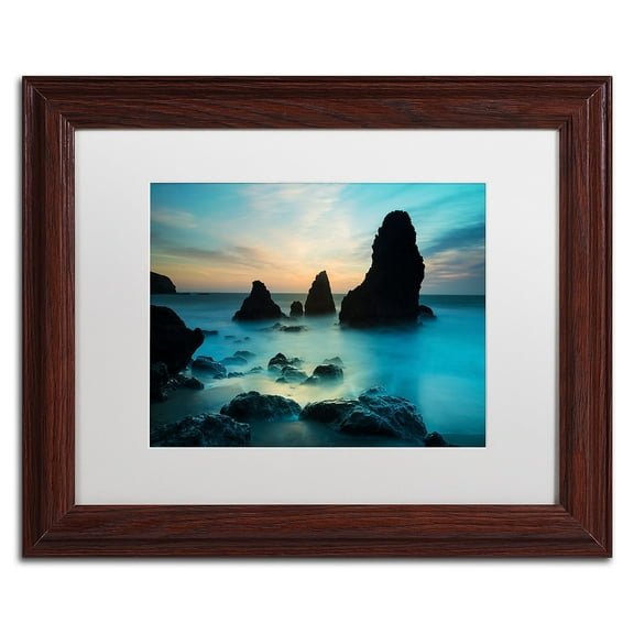 Trademark Fine Art "Rodeo Beach I" Canvas Art by Moises Levy White Matte, Wood Frame