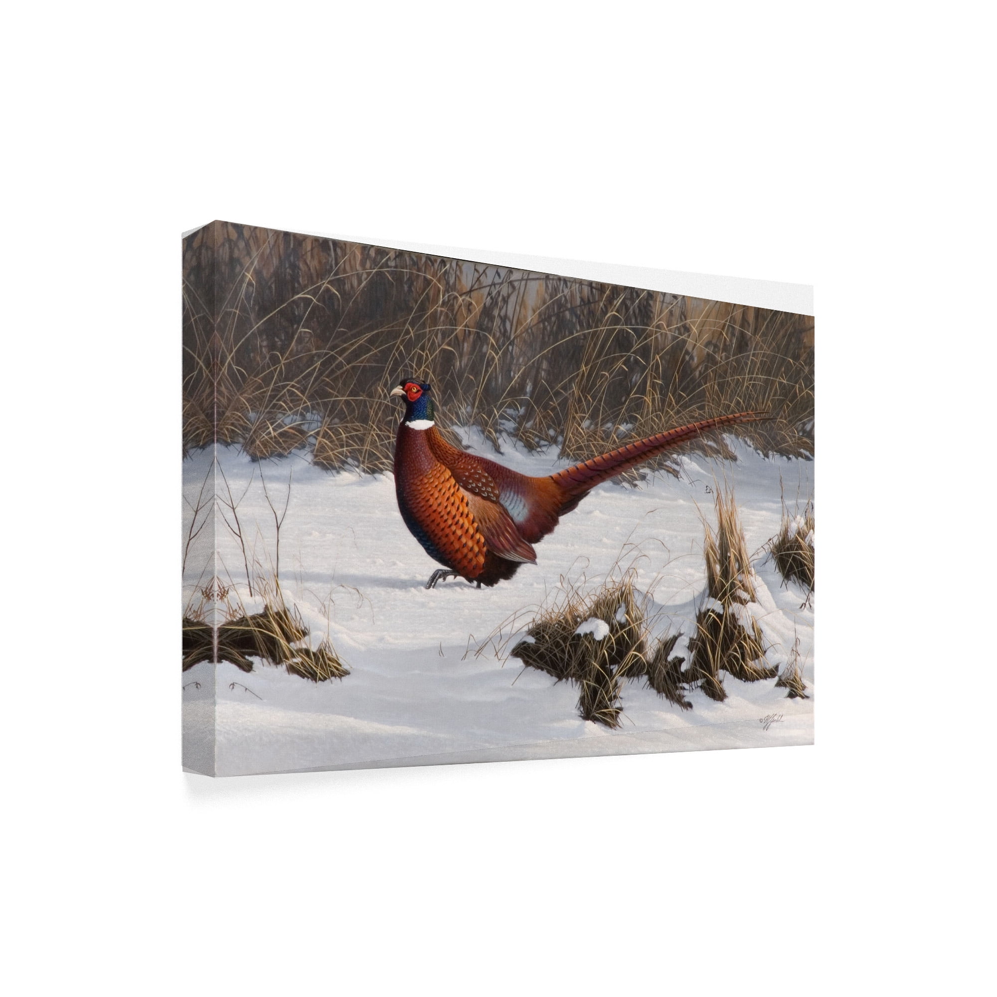Trademark Fine Art 'Winter Walk Pheasant' Canvas Art by Wilhelm Goebel