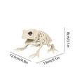 thumbnail image 3 of Frog Skeleton Decoration, Simulation Animal Ornament, for Halloween Bar Decor, Horror Theme, Party Display (4.9"x5.1"x3.1"), 3 of 6