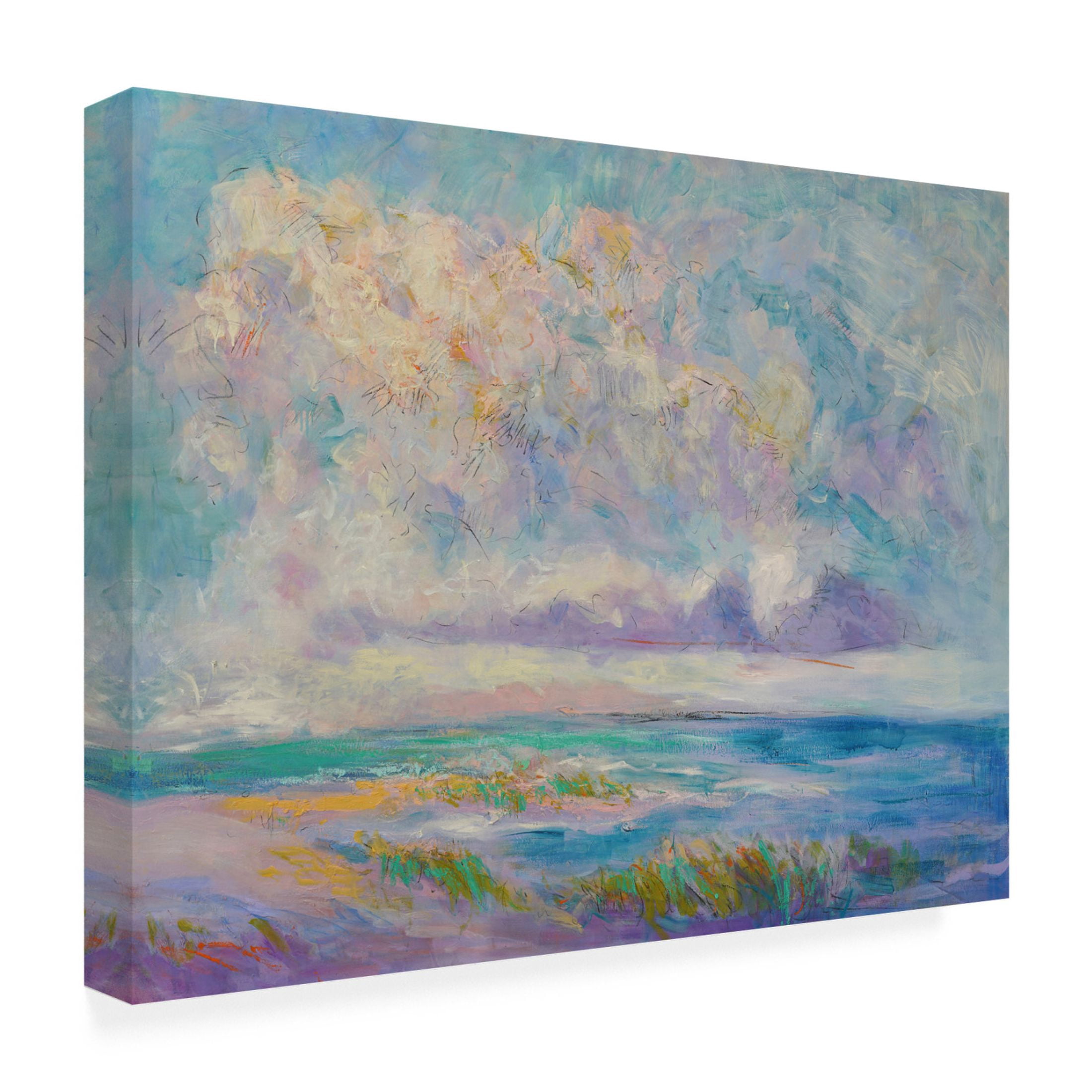 Trademark Fine Art Dorothy Fagan Skies the Limit I Canvas Wall Art