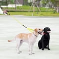 thumbnail image 6 of Dual Dog Leash, Double Dog Leash, 360 Swivel No Tangle Walking Leash, Shock Absorbing Bungee for Two Dogs, Large (25-150 lbs), 6 of 6