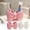 C, variant on Bow Toothbrush Holder, Toothbrush and Toothpaste Holder Cute Toothbrush Holder Set, Bathroom Counter Organizer for Bathroom,Electric Toothbrushes, Floss, Razors
