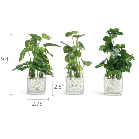 K-Cliffs Set of 3 Potted Faux Greenery in Clear Glass Square Pots w/ Decorative White Stones