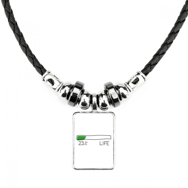 Life Energy Progress Bar 23 Percent Youth Young Necklace Jewelry Torque Leather Rope Pendant