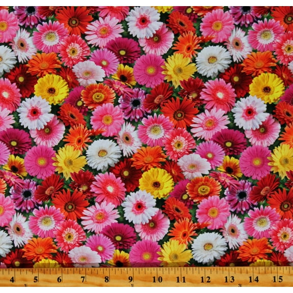 Cotton Gerber Daisy Daisies Flowers Floral Plants Gardens Landscapes Nature Multicolor Cotton Fabric Print by the Yard (700-MULTI)