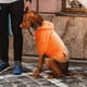 thumbnail image 5 of Sudadera con capucha y bolsillo - Mezcla de algodón, diseño con capucha - Ropa de abrigo para perros pequeños y medianos, 5 of 8