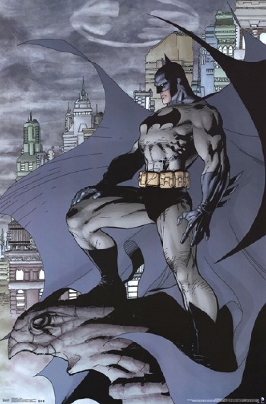 Batman Cape Laminated Poster Print (24 x 36)