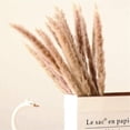 thumbnail image 4 of Dried Reed Decor  15Pcs Reed Grass Bouquet for Wedding Boho Flowers Home Table Decor  Rustic Farmhouse Party, 4 of 8