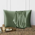 thumbnail image 2 of DISANGNI 100% Natural Mulberry Silk Pillow case for Hair and Skin with Hidden Zipper 22 Momme Both Sides Real Silk Pillow Case (1 pc Standard Size 20"x26", Green), 2 of 8