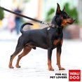 thumbnail image 3 of Dog Training Leash Made for Puppy, Medium, and Large Dog, 3 of 5