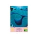 thumbnail image 2 of Rc Gold Edition 100 Pzs Wuundentoy El Arrecife 0907, 2 of 4