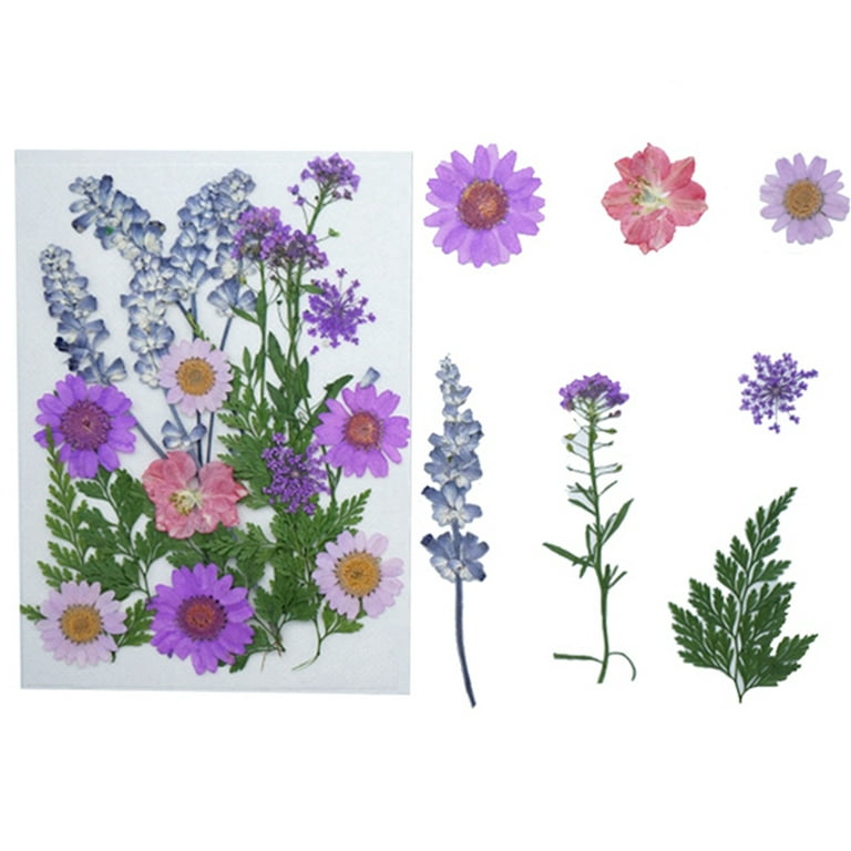 22pcs Dried Pressed Flowers Assorted Dry Flower Kit Dried Flower Set for Resin, Size: One Size
