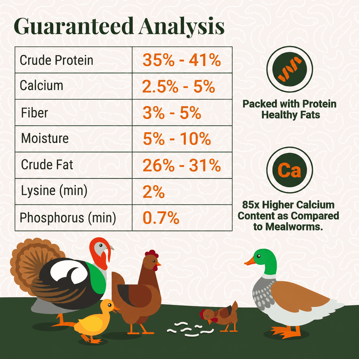 Supreme Grubs Dried Black Soldier Fly Larvae Chicken Treats 5LB – High Calcium, Protein-Rich, All-Natural Poultry Feed Supplement