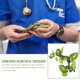 thumbnail image 3 of BALAHAPY Planta De Resina Decorativa Para Terrario Con Aspecto Para Ambientes De Reptiles, 3 of 6
