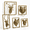 Assorted Animals - 5, variant on Assorted Animals - 5 Wall Sculptures with Metal Frame for Living Room Bedroom Office